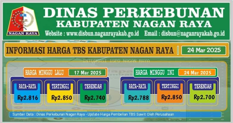Kabar Terkini dari Nagan Raya: Harga TBS Sawit Mayoritas Loyo di Pekan Ini!